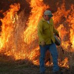 photo by Ron Gooden of a controlled burn by the WV DNR in Randolph County WV.